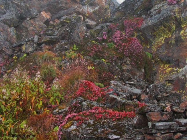 Colors on the mountain face on the trail towards Pandavsera
