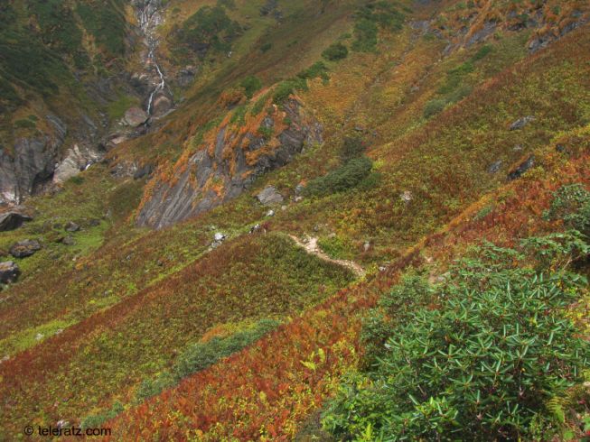 The trekking trail from kanchni khal towards Pandavsera