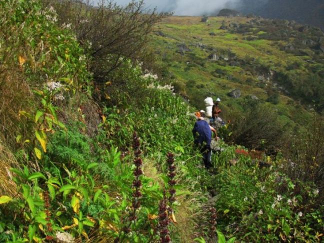 Walking towards Pandavsera meadows