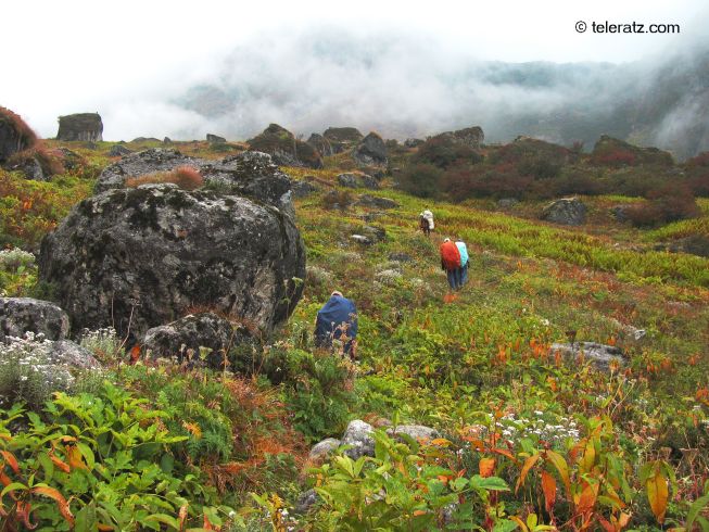 Wilderness around Pandavsera meadows