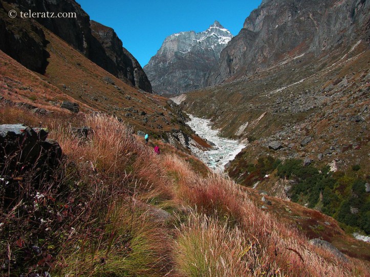 The route towards Laxmi van en route Satopanth Tal